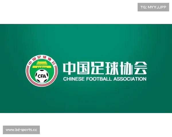 中超新赛季最新动态曝光引发球迷热议各队新阵容备战情况解析 中超新赛季最新动态曝光引发球迷热议各队新阵容备战情况解析